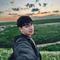 الصوت الأصلي