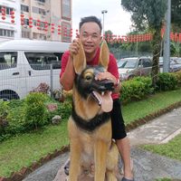原聲 - Yoon Choy Thow