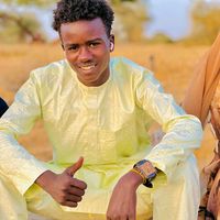 الصوت الأصلي