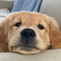 เสียงต้นฉบับ - • S E E C T M X ! ❤️‍🔥 🧸