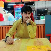 alihasnain8600