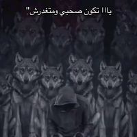 hamzaassal323