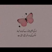 dadyal733