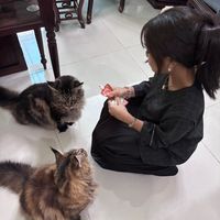 yaoyaosminn