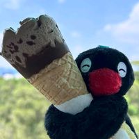 オリジナル楽曲 - YUNCHI