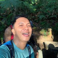 dmsspptr