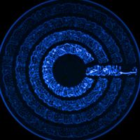 الصوت الأصلي