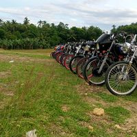 original sound - mikemaribao338