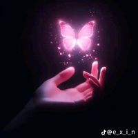 mariposa...solitaria