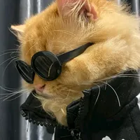 original sound - samoel_rizal