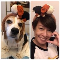 cutie.the.beagle