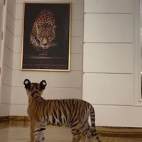 privaj__7
