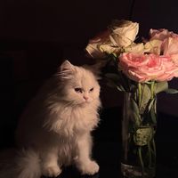 musicsoul40