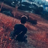 david.lupusor6
