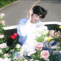 canhhi_jingxi