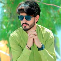 usmanalishah3761