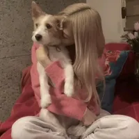 original sound - rose139n