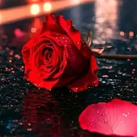 original sound - monirhossine_