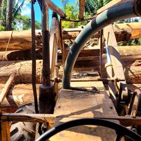 mafiadatoraschneider