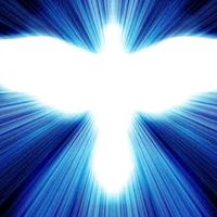 christconscioussealofgod