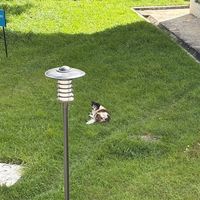 오리지널 사운드 - Taemin KIM