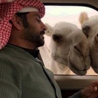 الصوت الأصلي