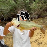 オリジナル楽曲 - 🐒猿しょうせい🐒