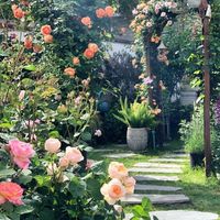 flowerlovers48