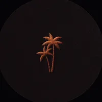 original sound - v7void