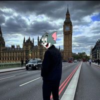 الصوت الأصلي