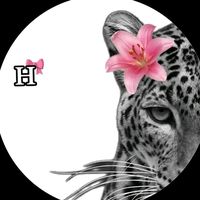 im_helin31