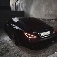 fritz__ggg