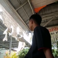 lsh_mauzkyy