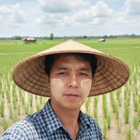 မူရင်းအသံ - ကိုရွှေညာ