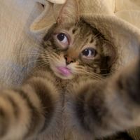 ayyy_0217