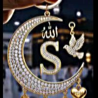 msmalik631