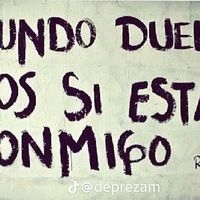 el.davi53