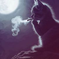sstarboy.__