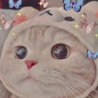 iyaaaw_12