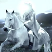 ahmedalassy6