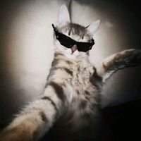 original sound - 愛|•Milo𐙚 ᥫ᭡