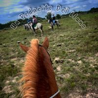 unpedacitodelllano24