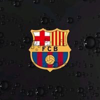 angelicasantizencinos