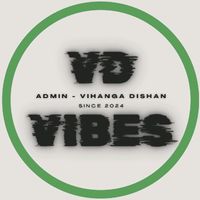 original sound - VD___VIBES  ✓