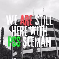 ultrasleman