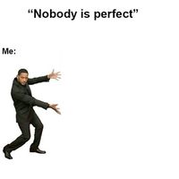 original sound - NOBODY IS PERFECT