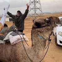 الصوت الأصلي