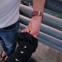suara asli - aridoang853