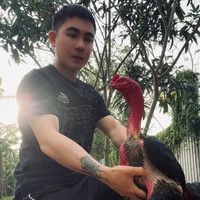 âm thanh gốc - Quốc khánh