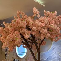 suara asli - Geminimeijuni